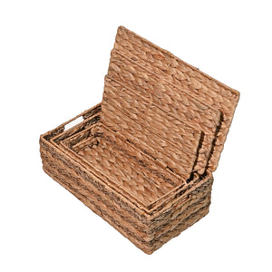 Sandrine Classic Farmhouse Handwoven Hyacinth Storage Baskets with Handles and Lids (Set of 3)