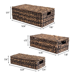 Sandrine Classic Farmhouse Handwoven Hyacinth Storage Baskets with Handles and Lids (Set of 3)