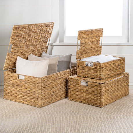 Brooks Classic Farmhouse Woven Hyacinth Rectangular Storage Baskets with Lids and Handles (Set of 3)