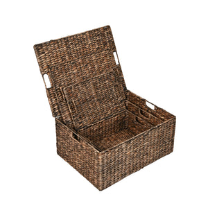 Brooks Classic Farmhouse Woven Hyacinth Rectangular Storage Baskets with Lids and Handles (Set of 3)