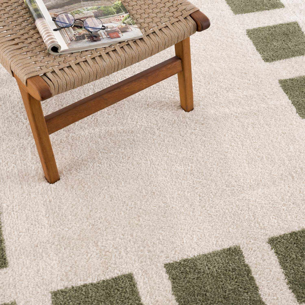 Beynon Green Washable Area Rug