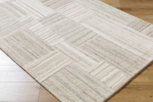 Ashtyn Area Rug