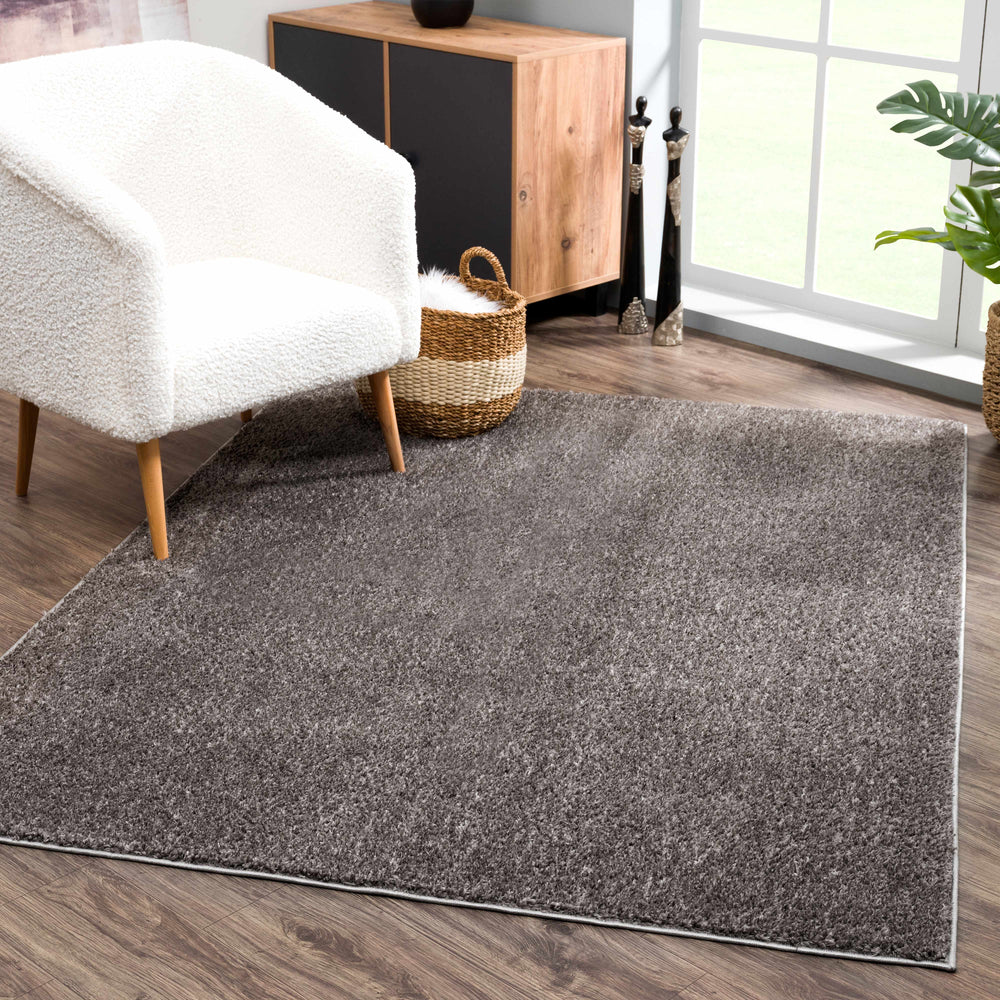 Judy Solid Dark Gray Washable Shag Rug - Promo