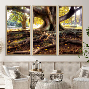 Banyan Tree Canvas Wall Art Print - Majestic Roots and