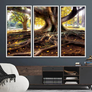 Banyan Tree Canvas Wall Art Print - Majestic Roots and