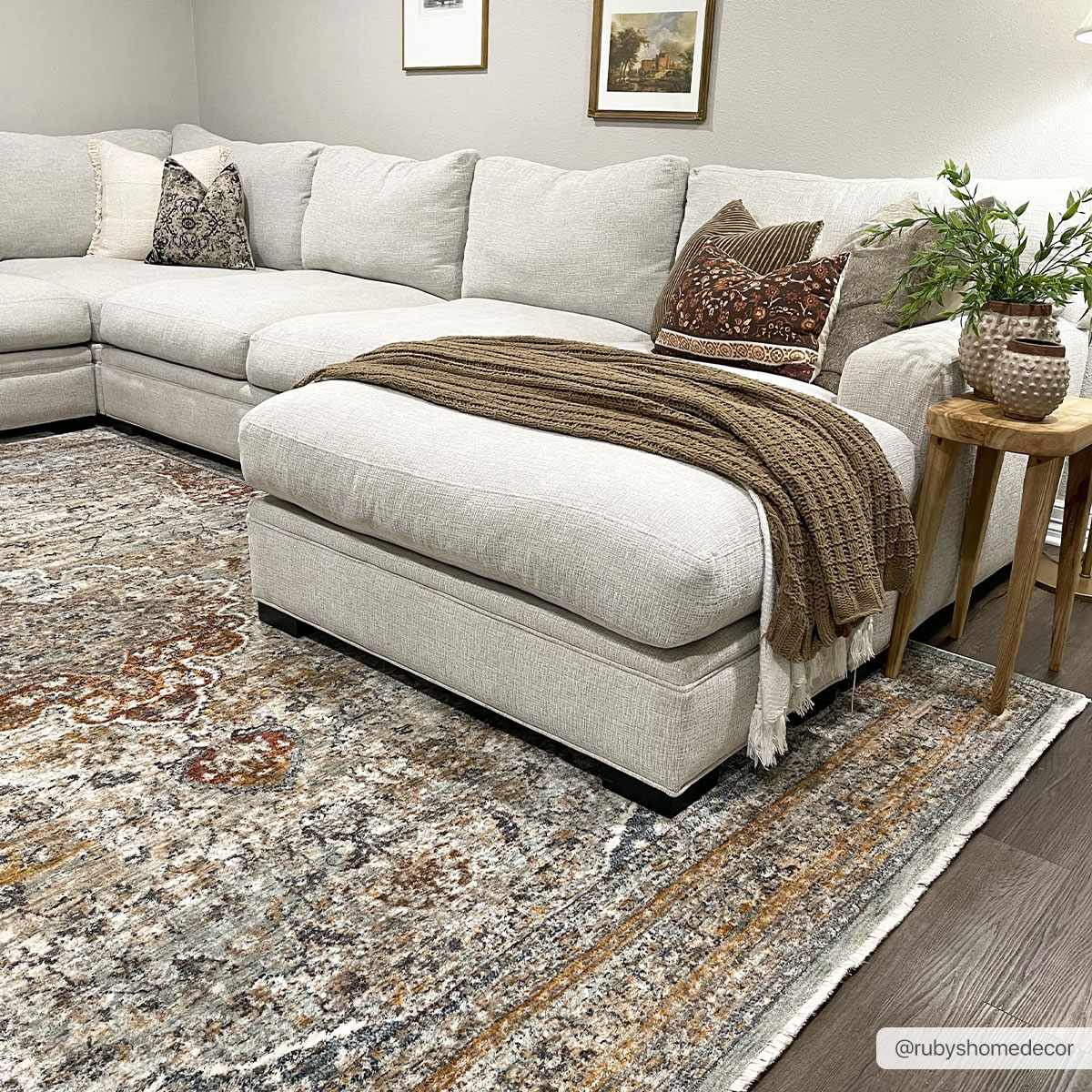 Baon Area Rug - Clearance