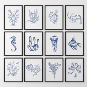Nautical Modern Marine Life Wall Art. Navy Blue Set of 12