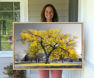 Big Yellow Tree Canvas Wall Art Print Black White Yellow Art