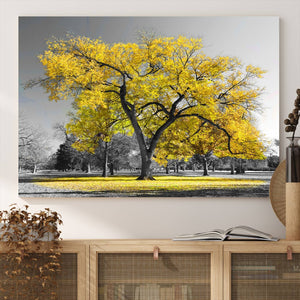 Big Yellow Tree Canvas Wall Art Print Black White Yellow Art