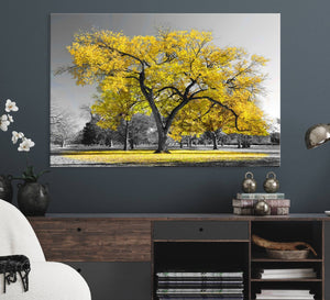 Big Yellow Tree Canvas Wall Art Print Black White Yellow Art