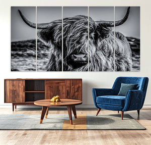 Black and White Cow Wall Art Canvas Print Highland Cattle