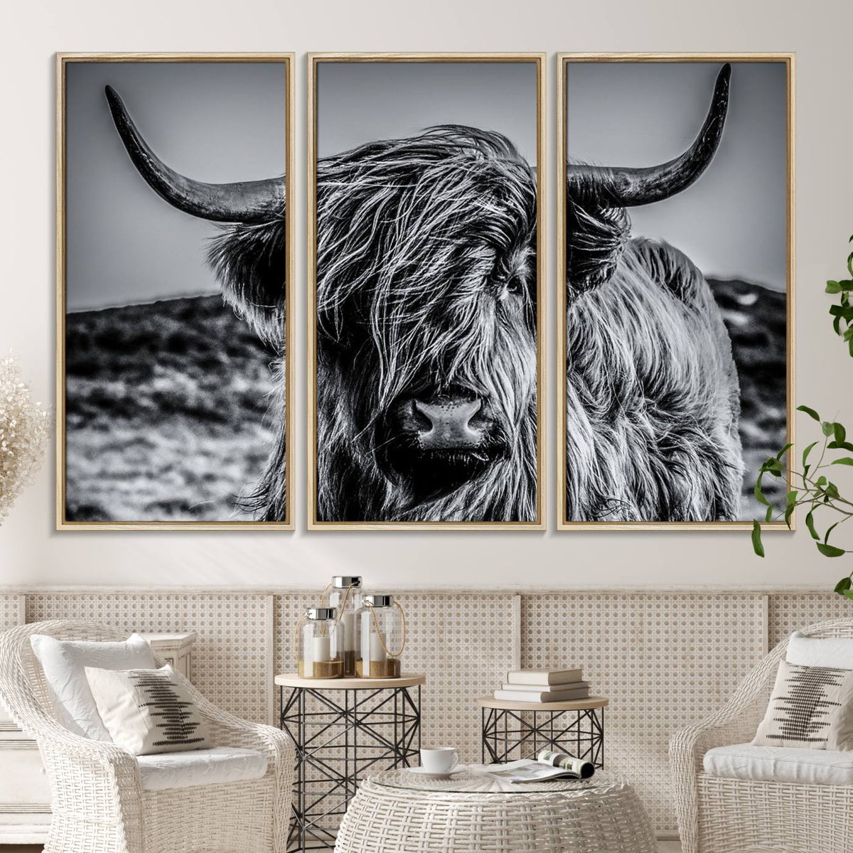 Black and White Cow Wall Art Canvas Print Highland Cattle
