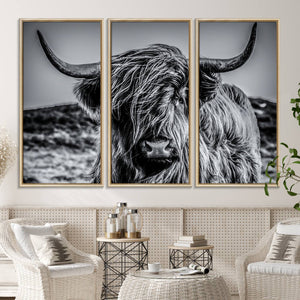 Black and White Cow Wall Art Canvas Print Highland Cattle