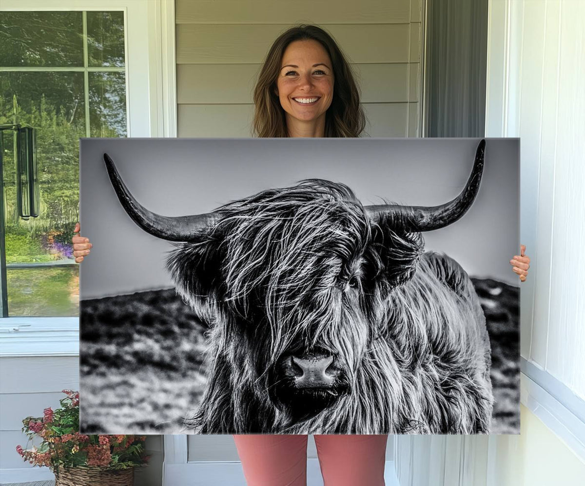 Black and White Cow Wall Art Canvas Print Highland Cattle