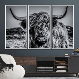 Black and White Cow Wall Art Canvas Print Highland Cattle
