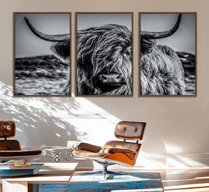 Black and White Cow Wall Art Canvas Print Highland Cattle