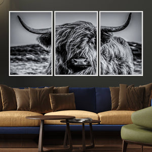 Black and White Cow Wall Art Canvas Print Highland Cattle