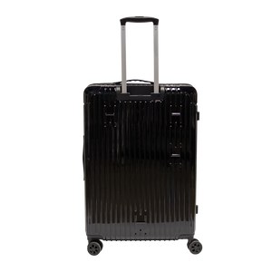 Check-In Luggage