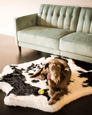 PupRug® Animal Print Memory Foam Dog Bed - Black Faux Cowhide
