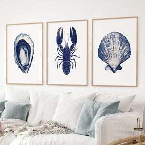 Lobster, Shell Nautical Prints.Coastal Set of 3 Piece