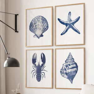 Set of 4 Art Prints. Starfish, Lobster, Seashell