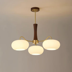 Persimmon Glass Chandelier with Brass Arms | Wood Accent Ceiling Pendant Light