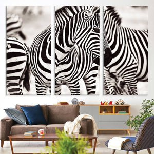 Brilliant Zebra Photography Art Canvas Print Black and White