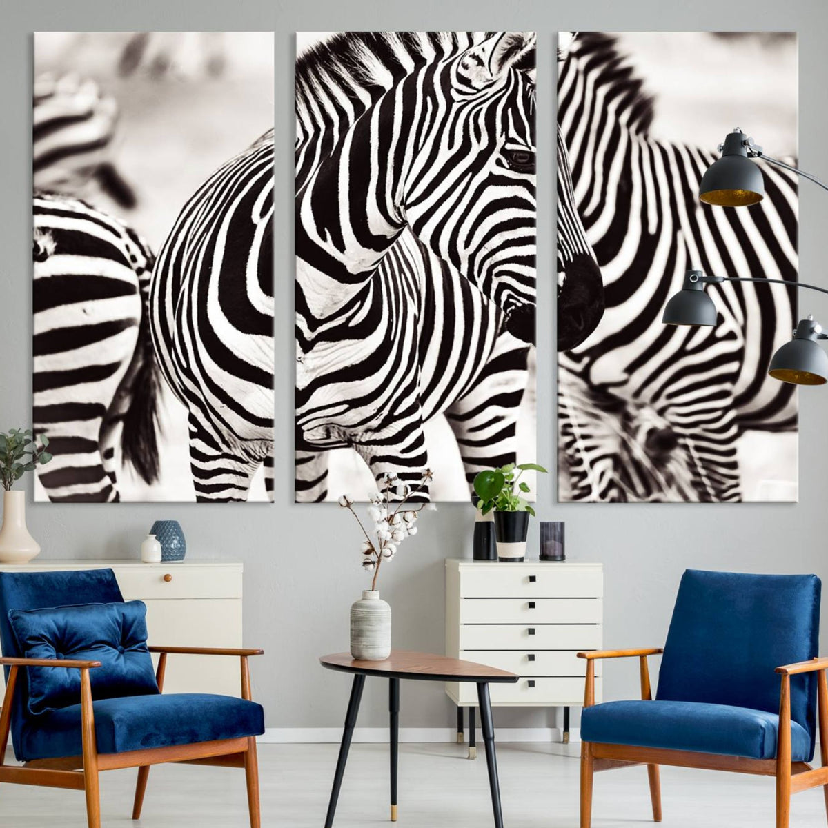 Brilliant Zebra Photography Art Canvas Print Black and White