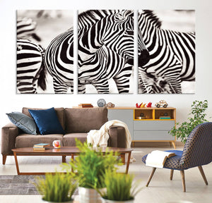 Brilliant Zebra Photography Art Canvas Print Black and White
