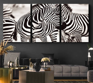 Brilliant Zebra Photography Art Canvas Print Black and White