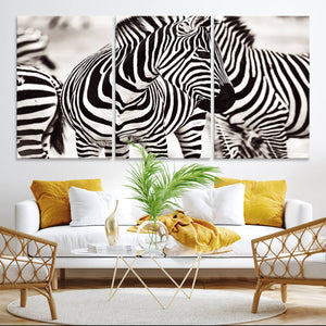 Brilliant Zebra Photography Art Canvas Print Black and White