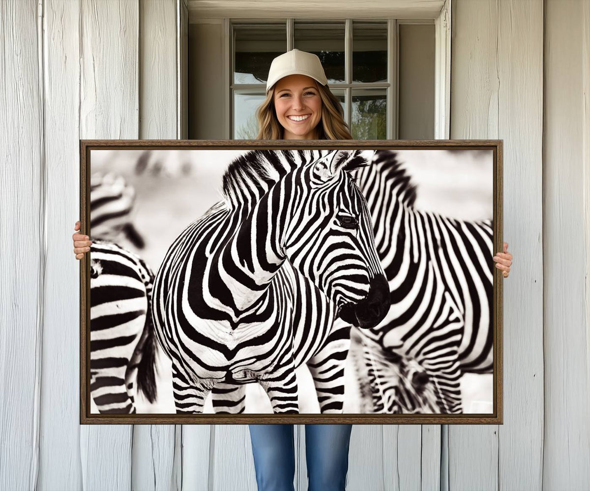 Brilliant Zebra Photography Art Canvas Print Black and White