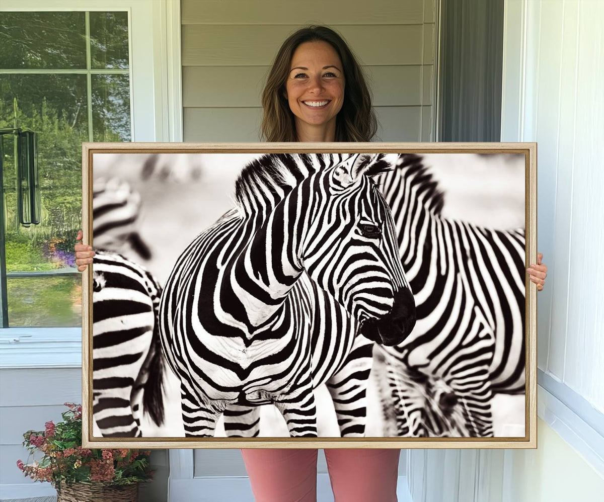 Brilliant Zebra Photography Art Canvas Print Black and White