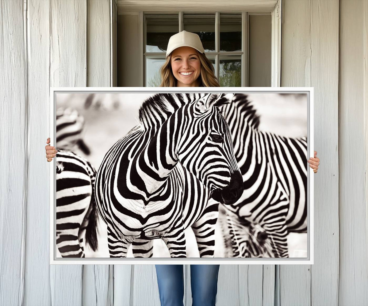 Brilliant Zebra Photography Art Canvas Print Black and White