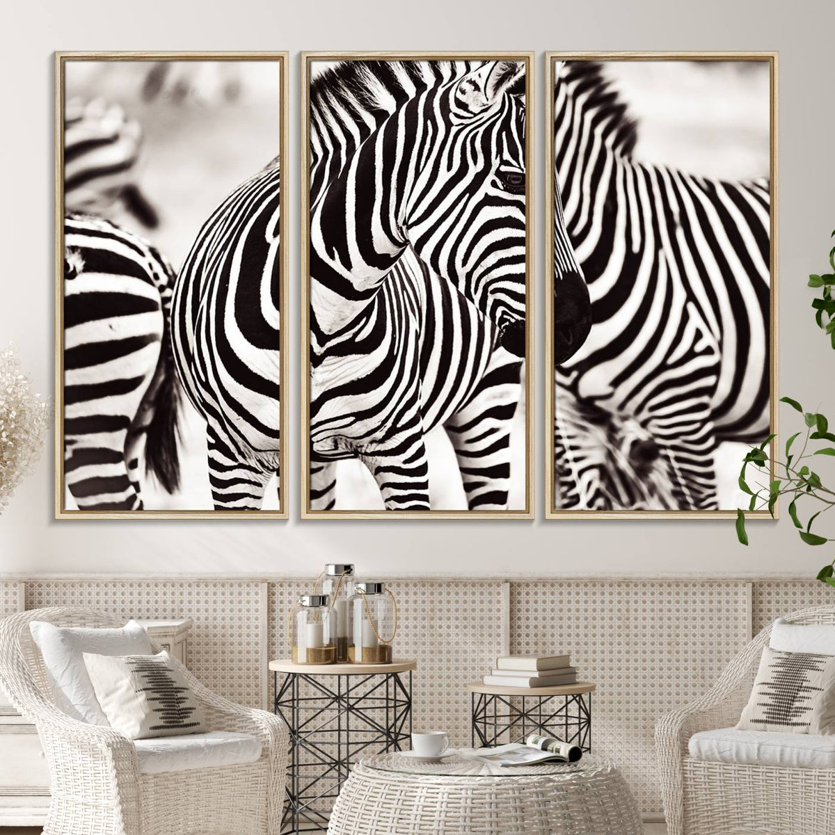 Brilliant Zebra Photography Art Canvas Print Black and White