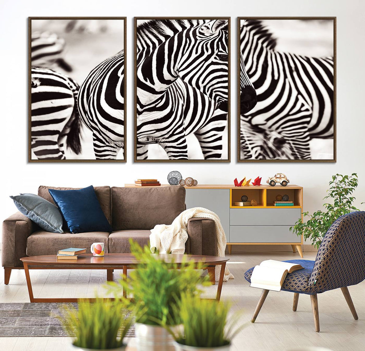 Brilliant Zebra Photography Art Canvas Print Black and White