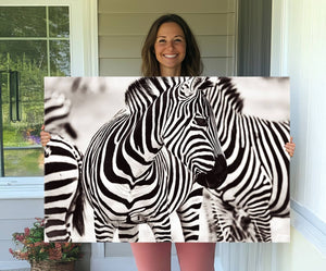 Brilliant Zebra Photography Art Canvas Print Black and White