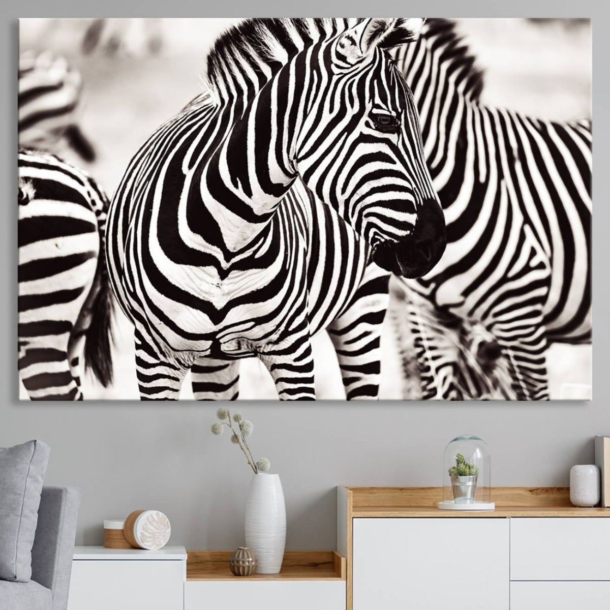 Brilliant Zebra Photography Art Canvas Print Black and White