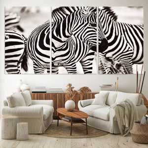 Brilliant Zebra Photography Art Canvas Print Black and White