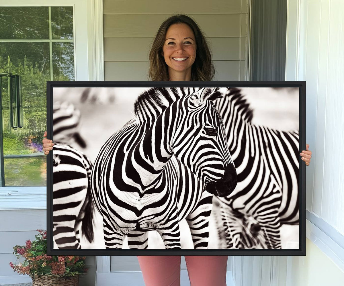 Brilliant Zebra Photography Art Canvas Print Black and White