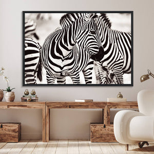 Brilliant Zebra Photography Art Canvas Print Black and White