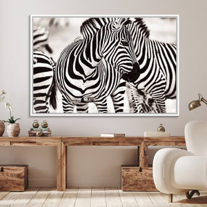 Brilliant Zebra Photography Art Canvas Print Black and White