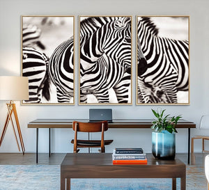 Brilliant Zebra Photography Art Canvas Print Black and White
