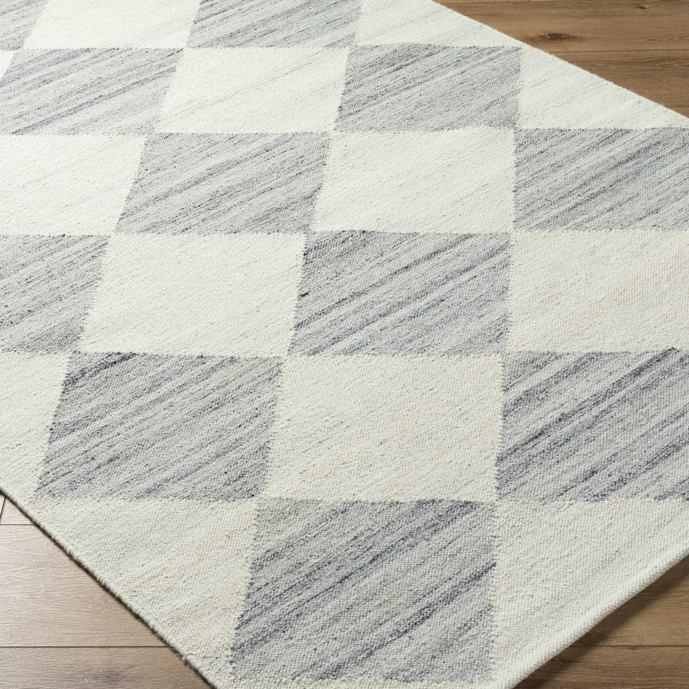 Andrin Light Gray Area Rug