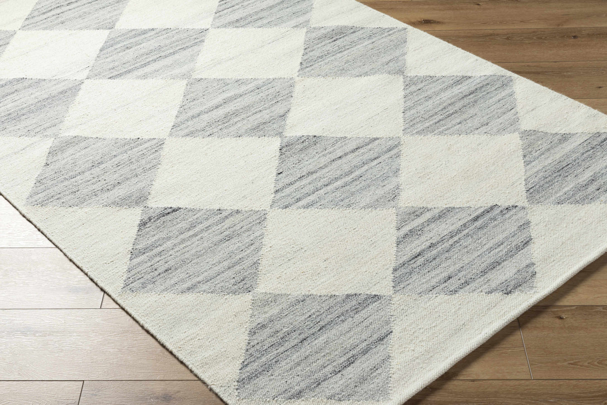 Andrin Light Gray Area Rug