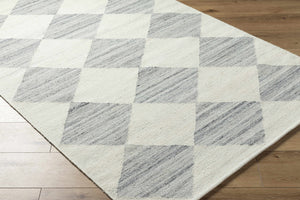 Andrin Light Gray Area Rug