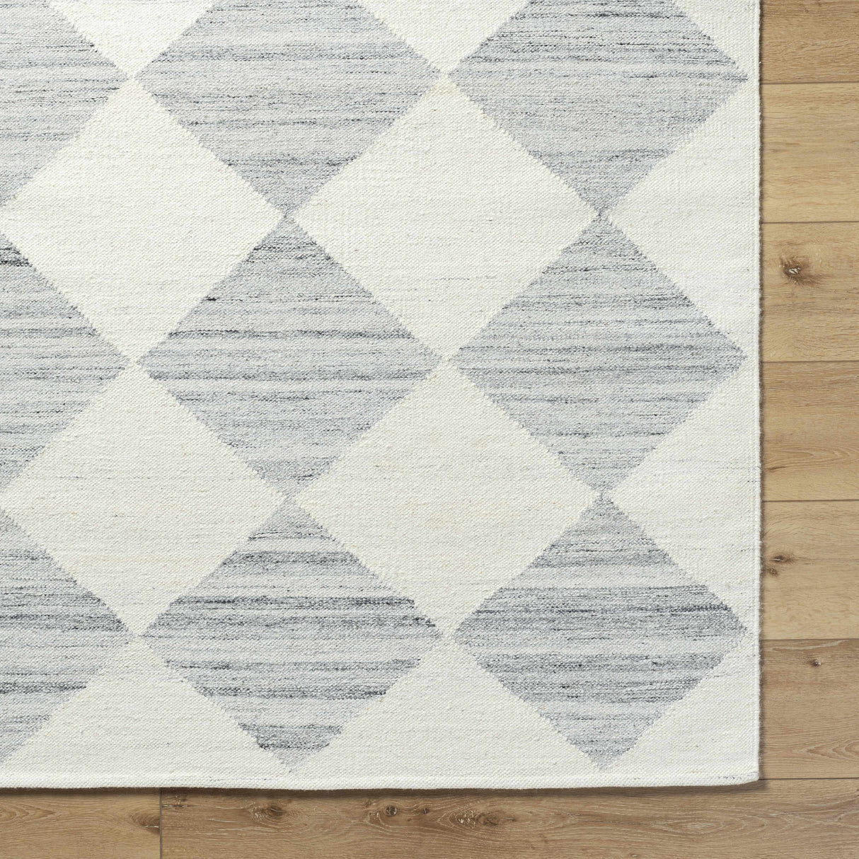 Andrin Light Gray Area Rug