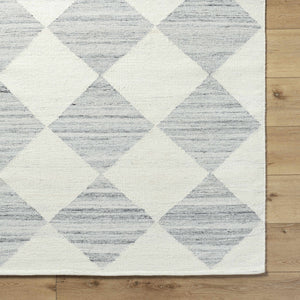 Andrin Light Gray Area Rug