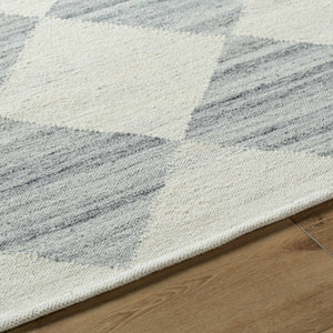 Andrin Light Gray Area Rug