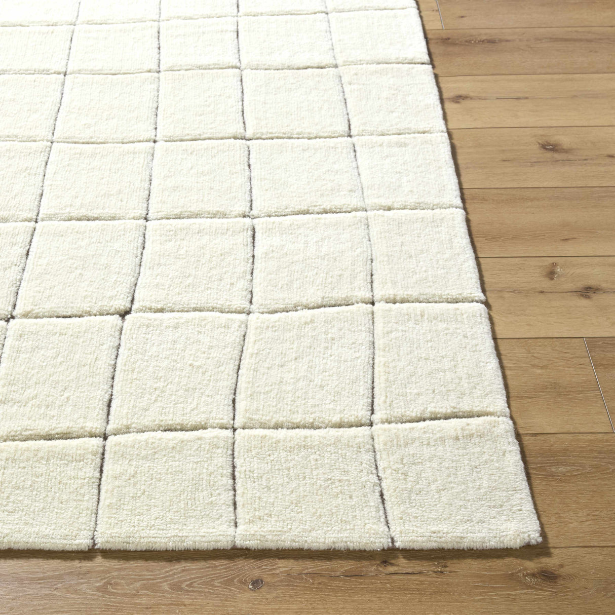 Caolan Washable Wool Rug